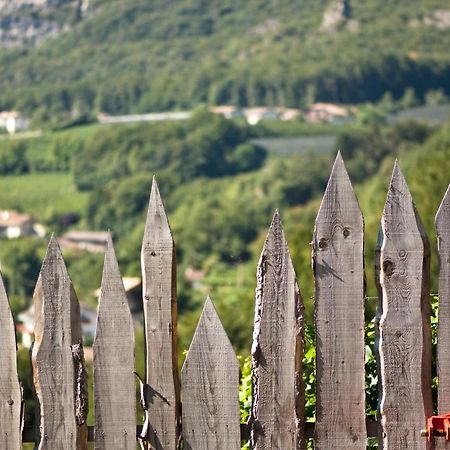 Santlhof - Sauvignon Lägenhet Cortaccia Exteriör bild