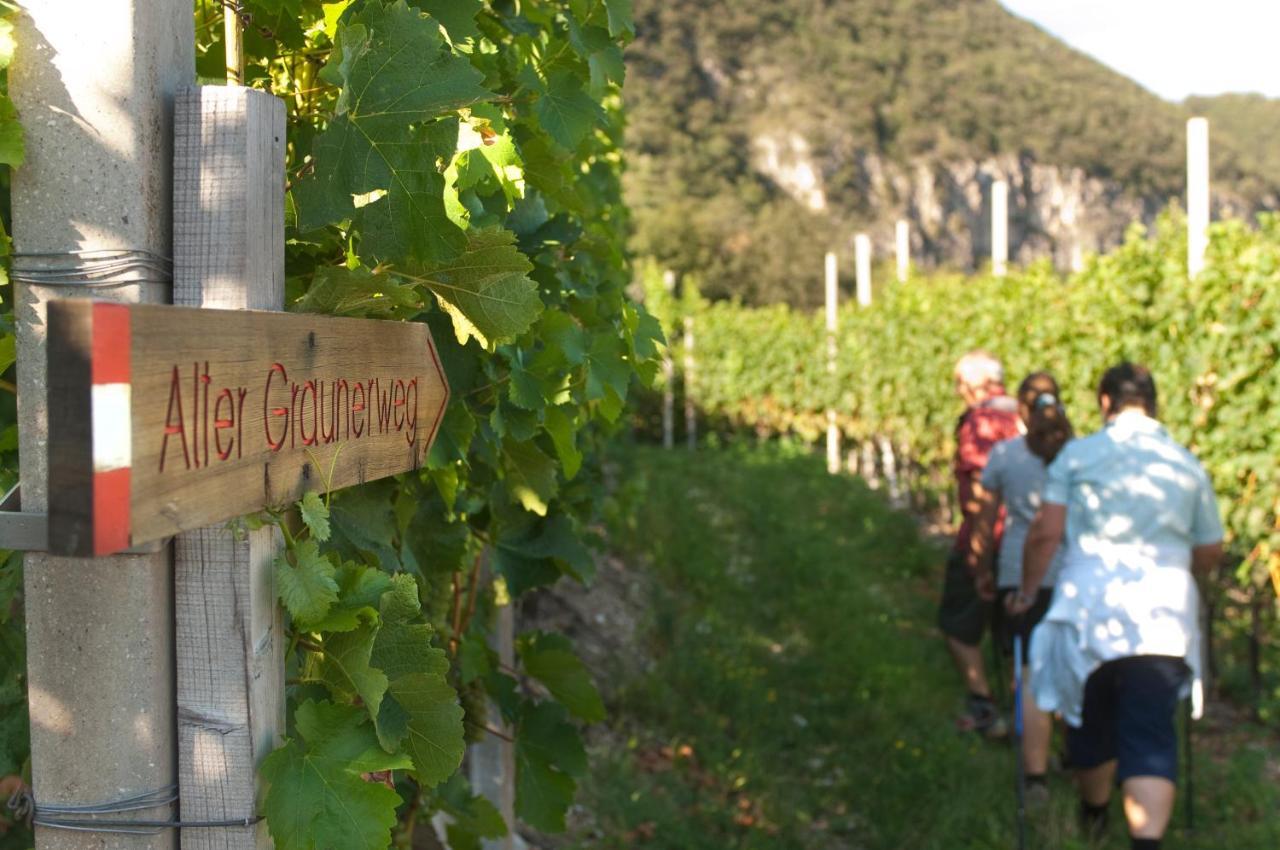 Santlhof - Sauvignon Lägenhet Cortaccia Exteriör bild