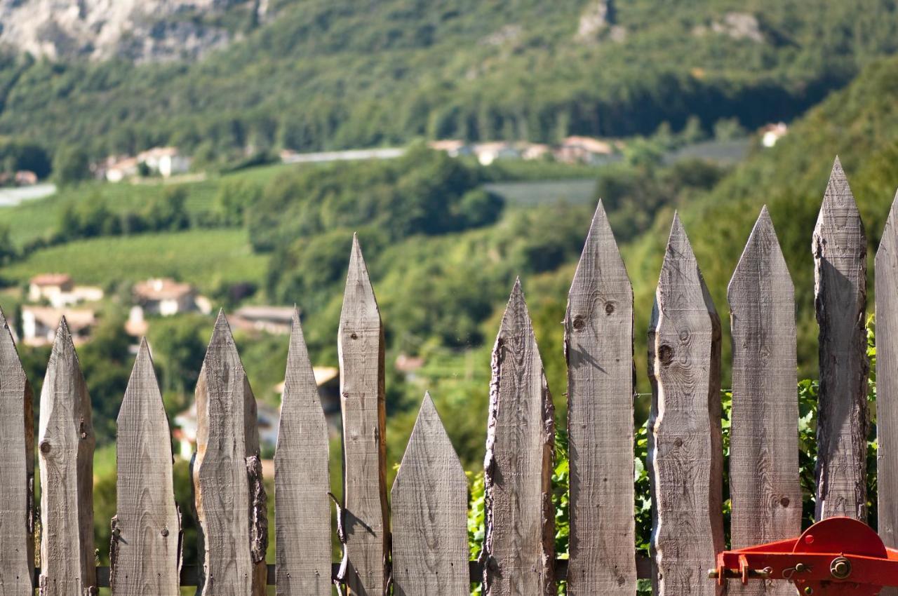 Santlhof - Sauvignon Lägenhet Cortaccia Exteriör bild